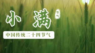 小满渐满-“全民饮茶日”科普茶会